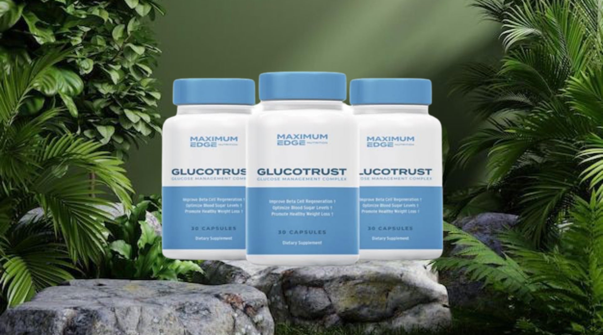 Glucotrust review Disclosed Caution No One Informs You About This